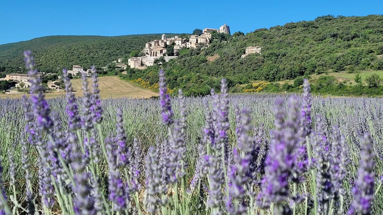 Photo of Outdoor in Simiane-la-Rotonde