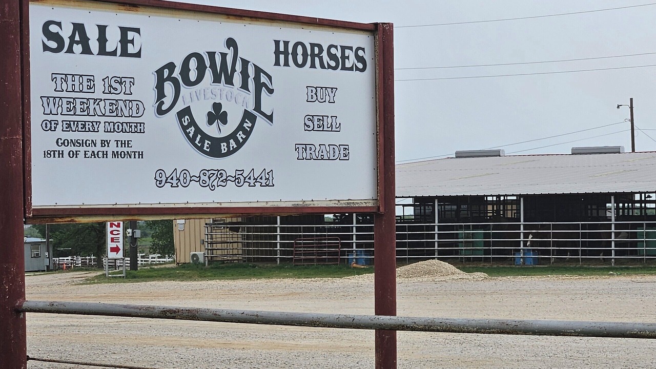 Photo of Others in Bowie