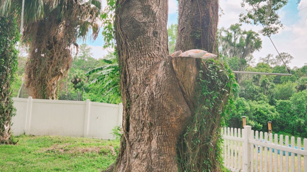 Photo of Outdoor in Historic District