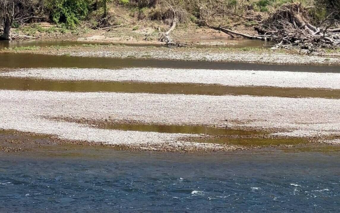 Photo of Others in Norfork