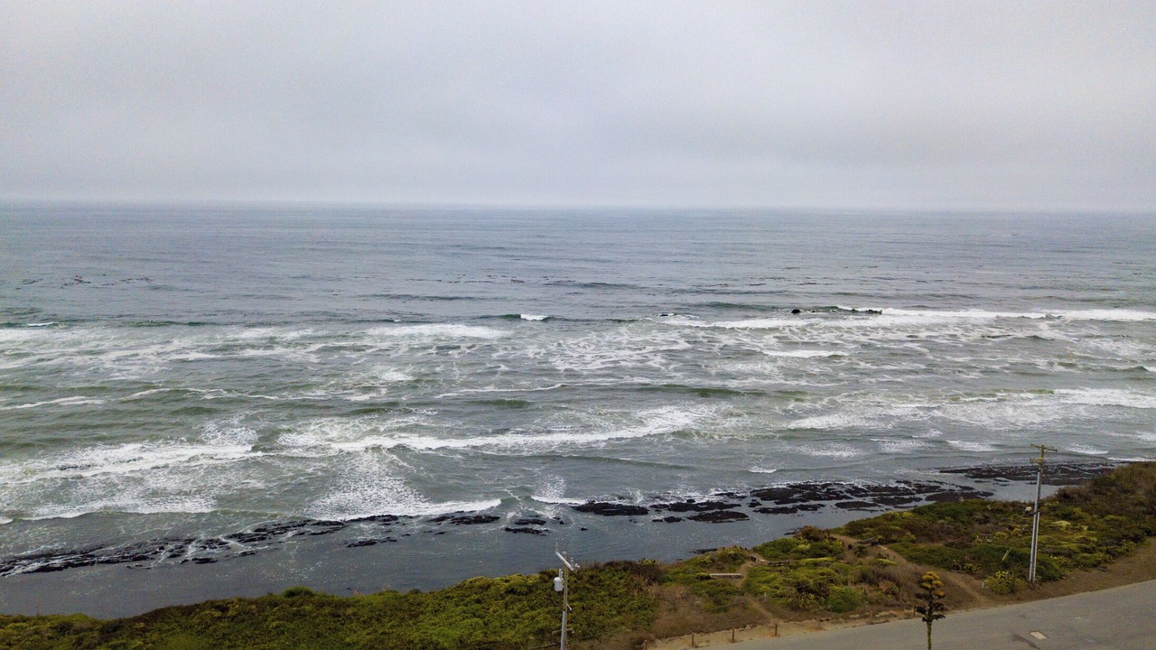 Photo of Others in Moss Beach