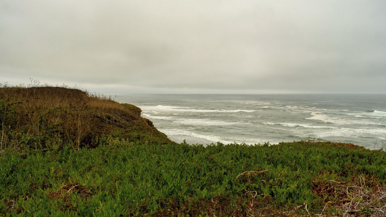 Photo of Others in Moss Beach