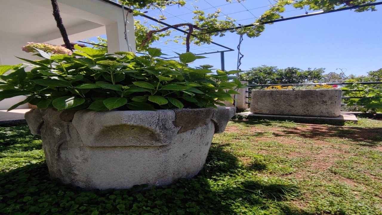Photo of Outdoor in Banici