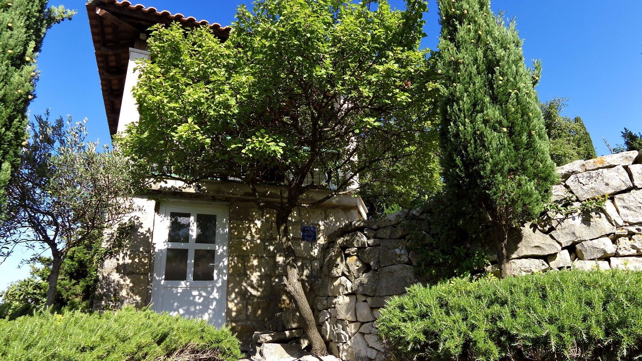 Photo of Outdoor in Mocici
