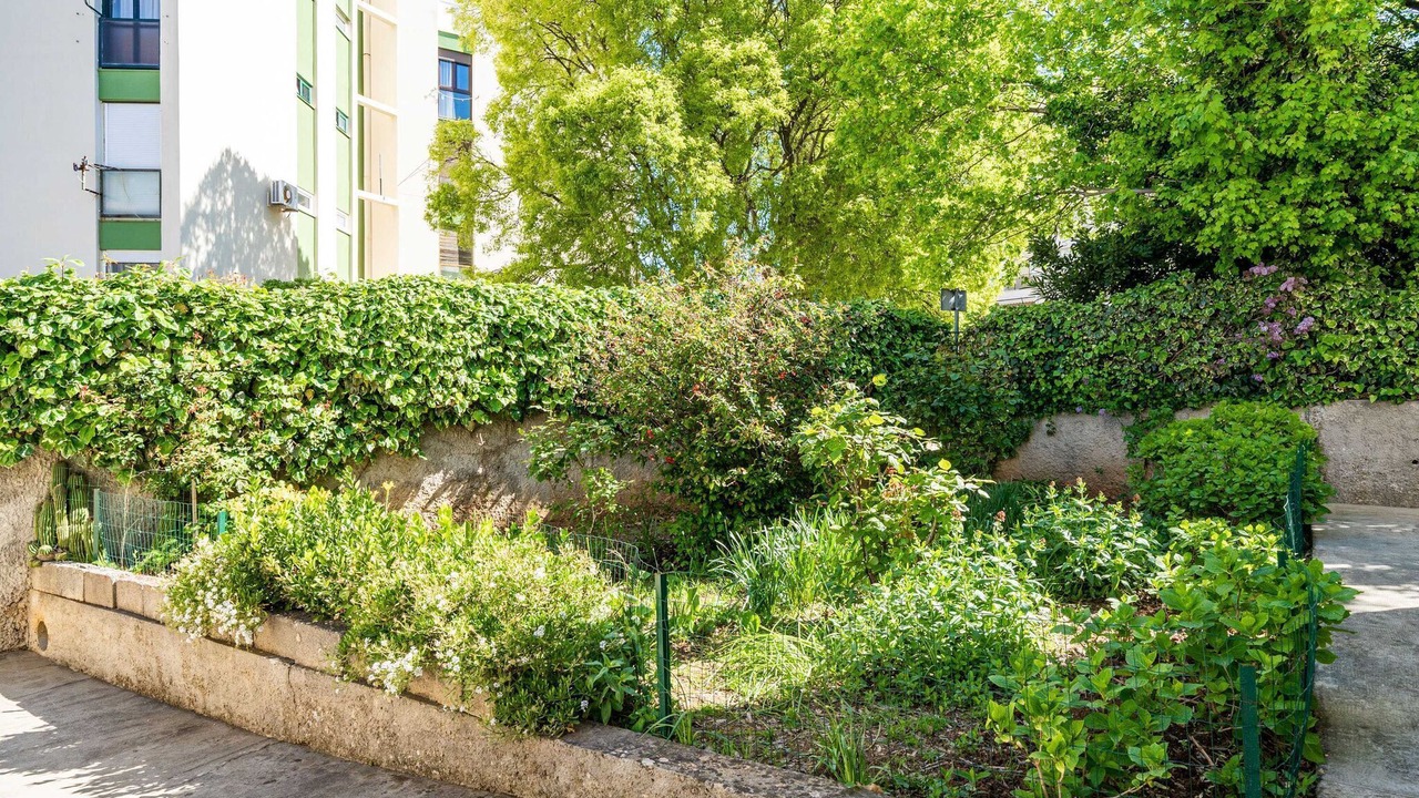 Photo of Outdoor in Lapad