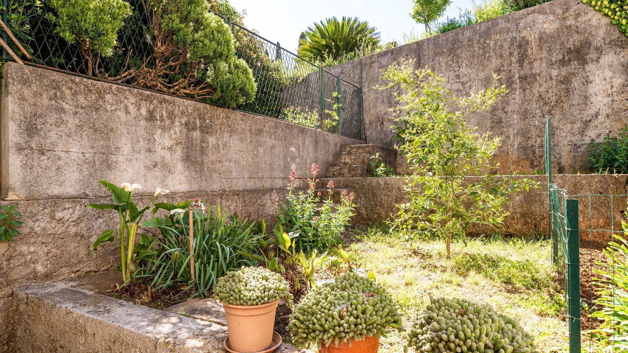 Photo of Outdoor in Lapad