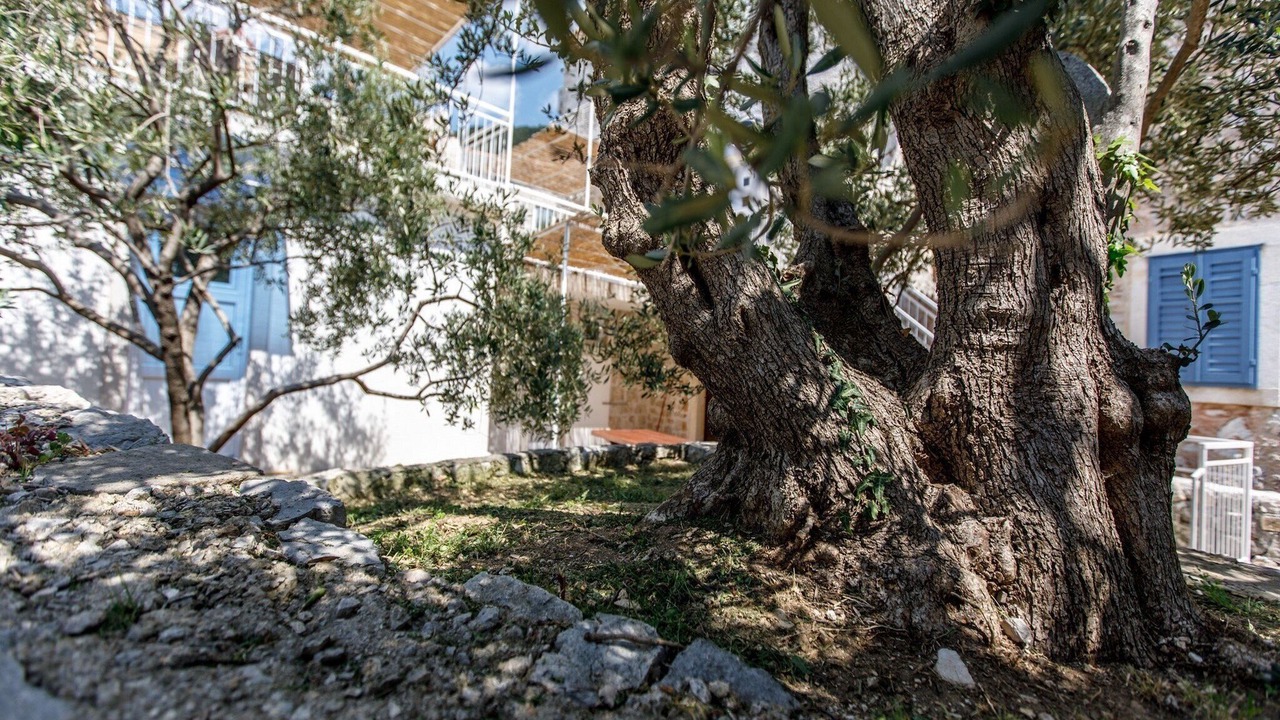 Photo of Outdoor in Bol