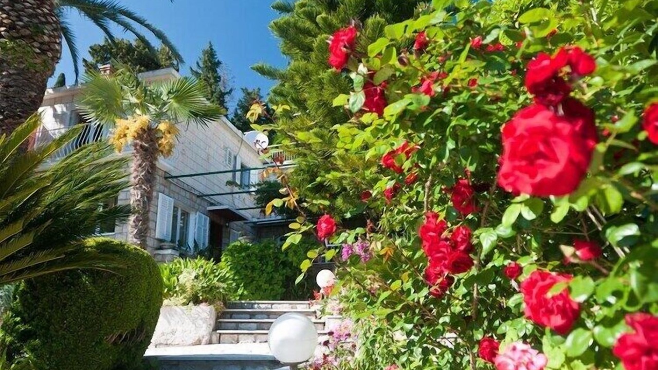Photo of Outdoor in Mlini