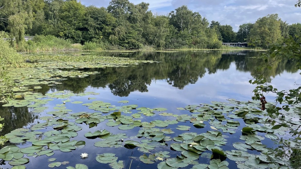 Photo of Outdoor in Rageleje