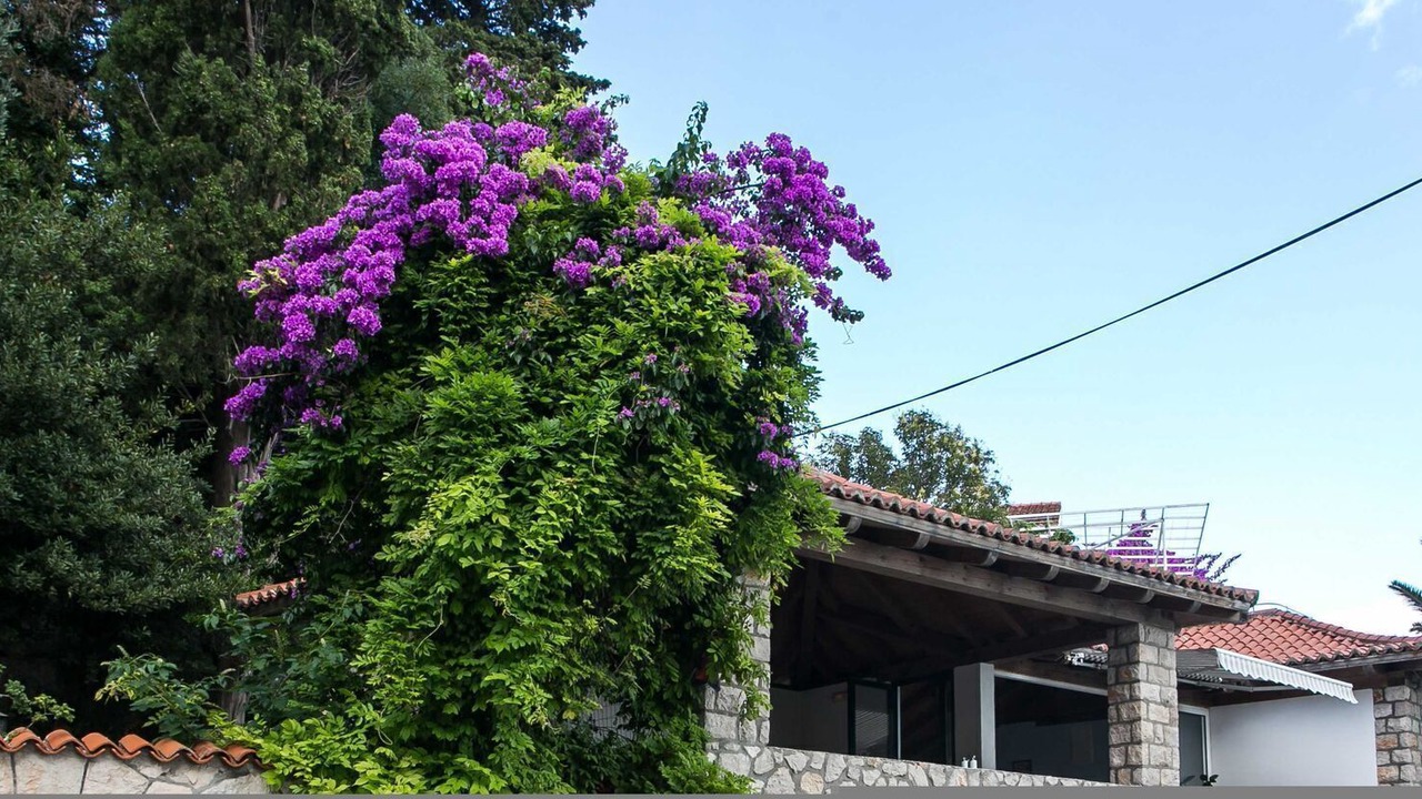Photo of Outdoor in Mlini