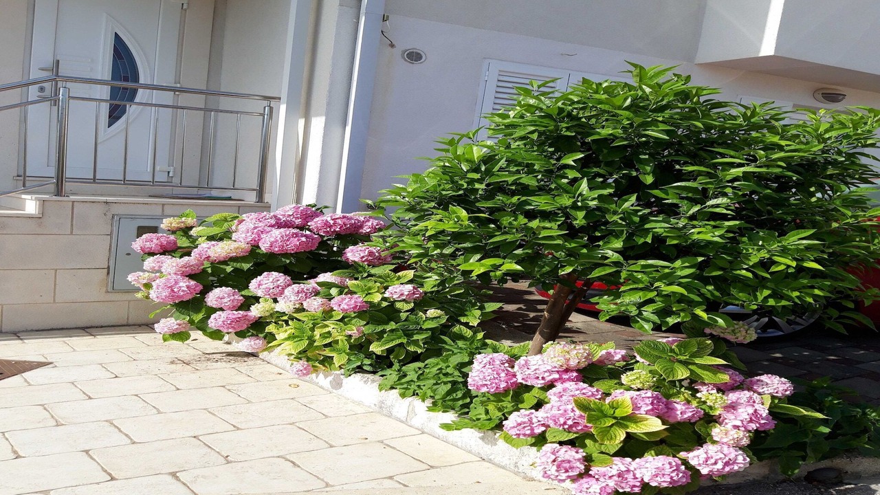 Photo of Outdoor in Babin Kuk