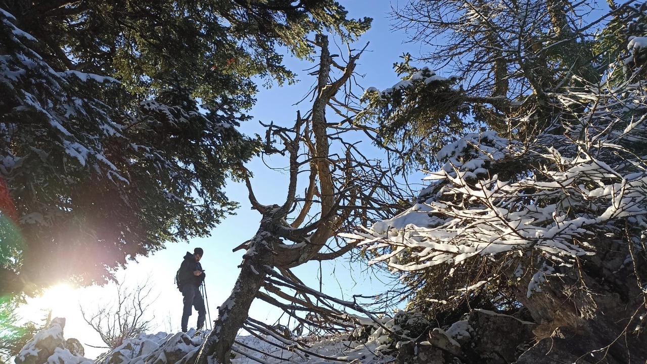 Photo of Outdoor in Meaudre