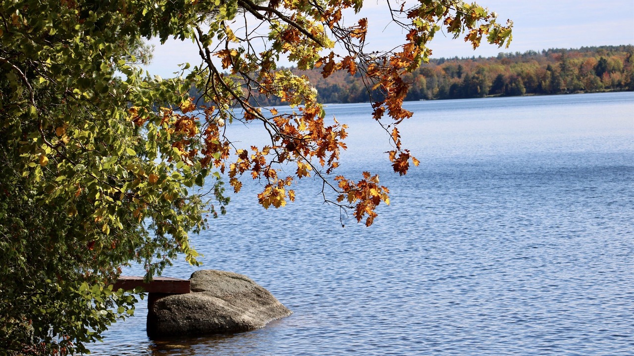 Photo of Others in Orland