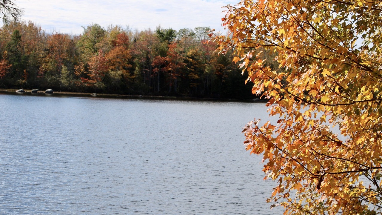 Photo of Others in Orland