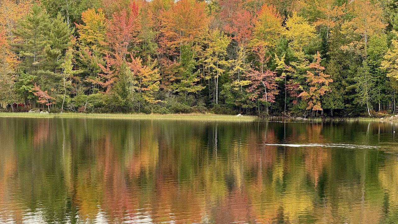 Photo of Others in Orland