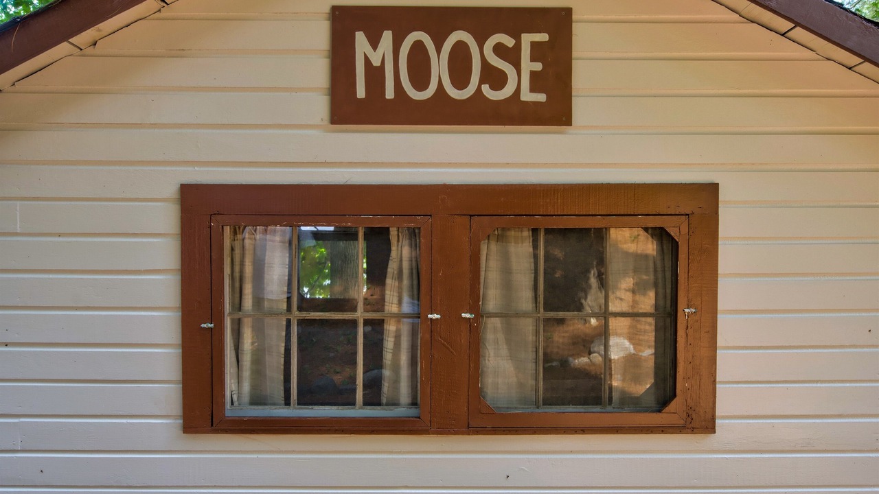 Photo of Outdoor in Orland