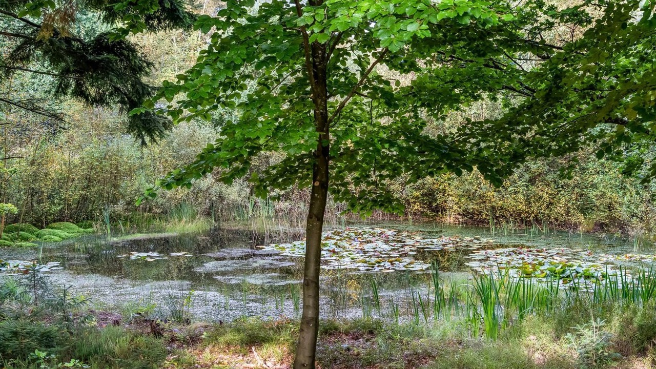 Photo of Outdoor in Aars