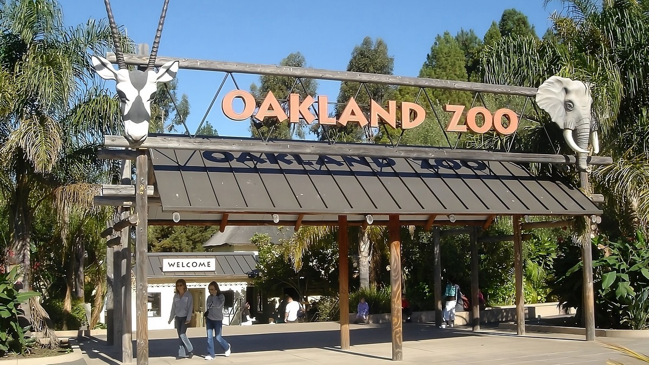 Photo of Others in San Ramon