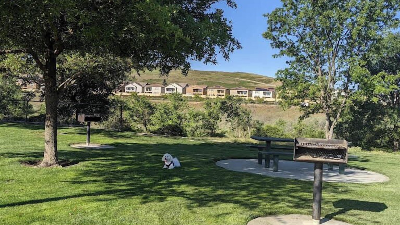 Photo of Others in San Ramon