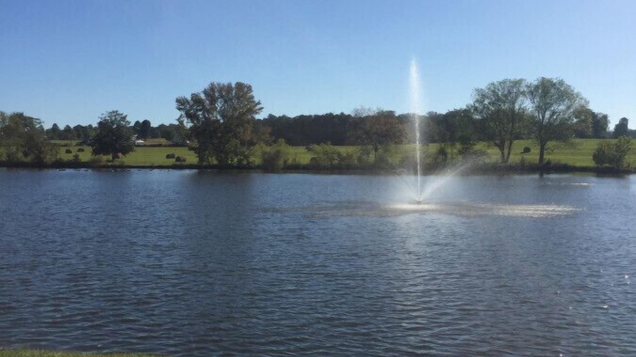 Photo of Others in Pine Mountain