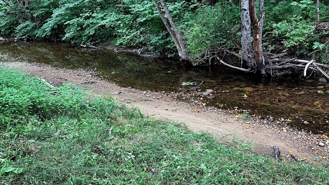 Photo of Outdoor in Bartlett