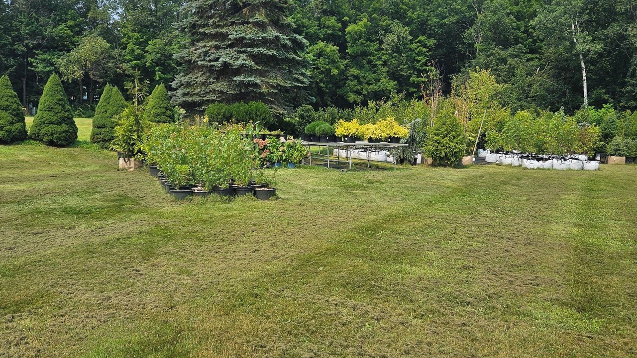 Photo of Outdoor in Bartlett