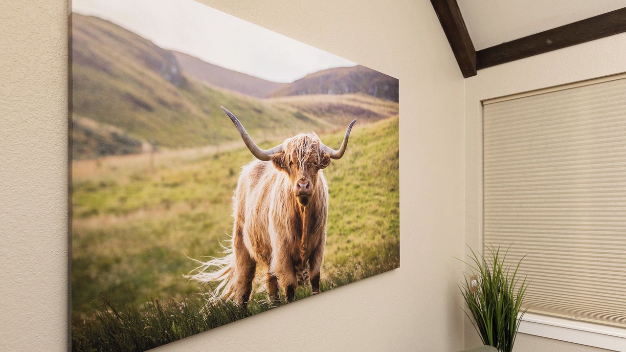 Photo of Others in Eagle