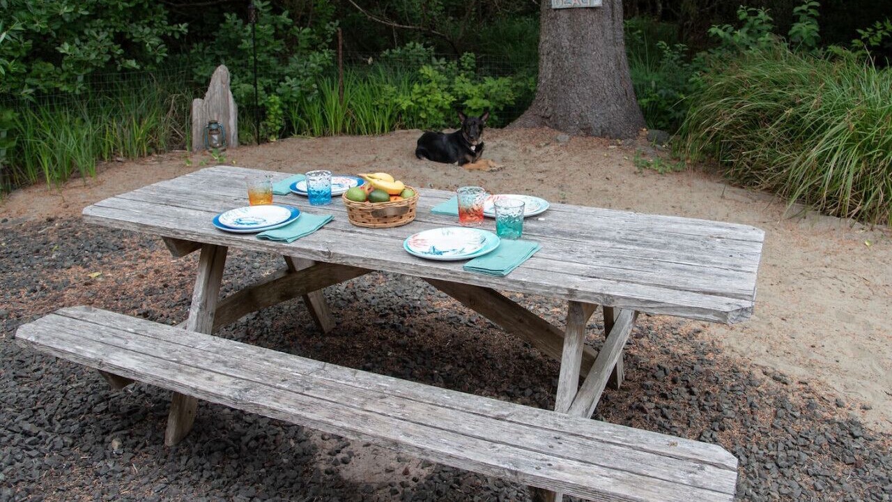 Photo of Outdoor in Grayland