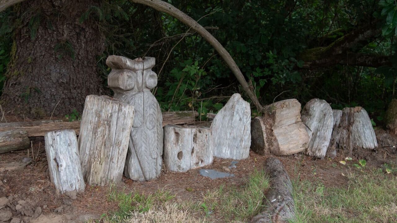 Photo of Others in Grayland