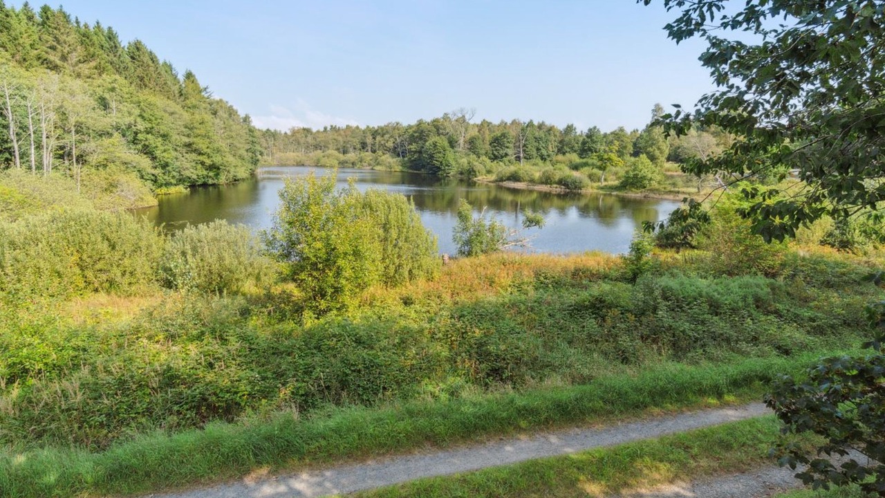 Photo of Others in Akirkeby