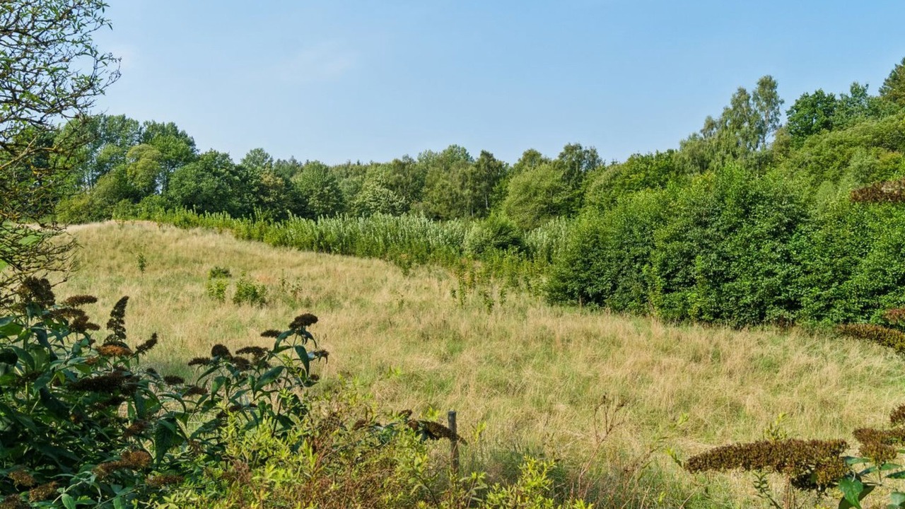 Photo of Outdoor in Akirkeby