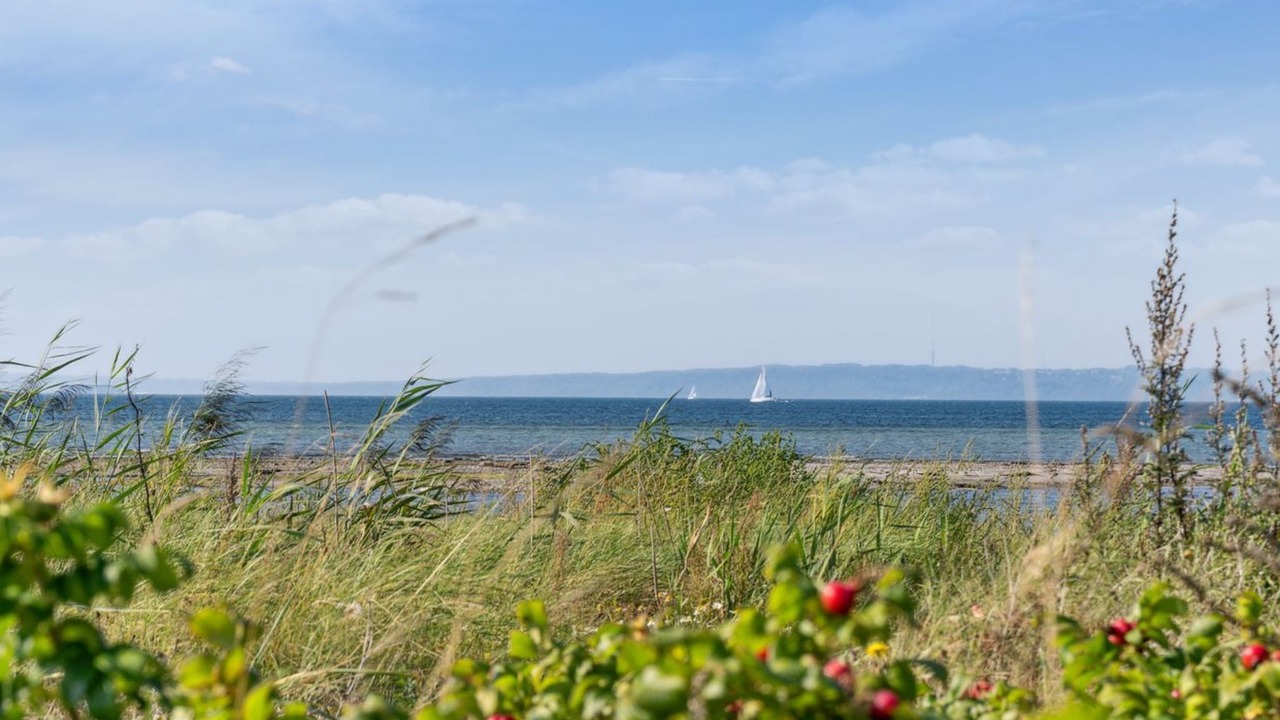 Photo of Others in Skødshoved Strand