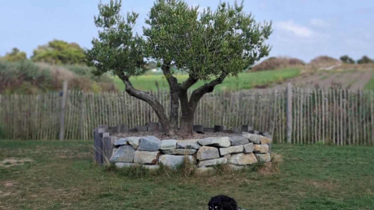 Photo of Outdoor in Noirmoutier-en-l'Ile