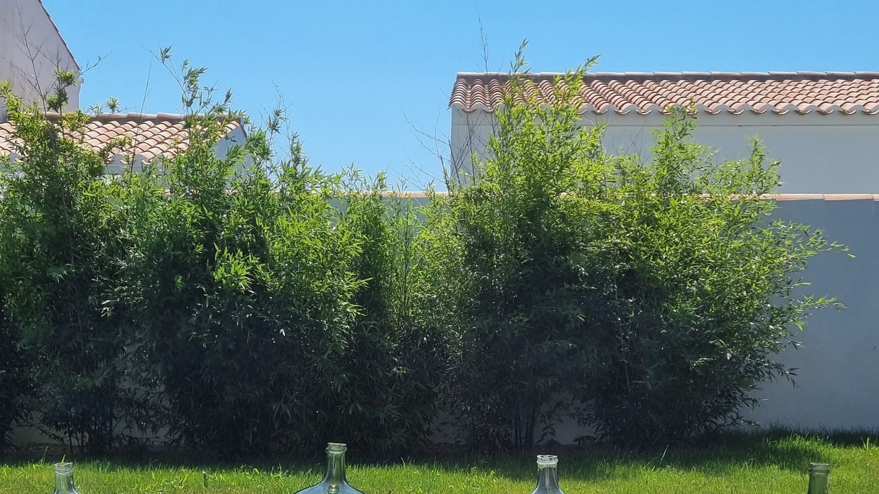 Photo of Outdoor in Noirmoutier-en-l'Ile