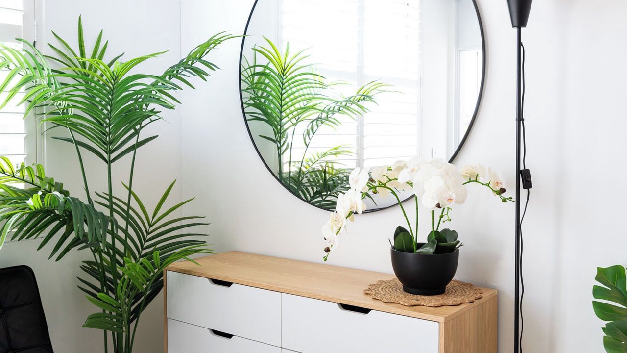 Photo of Others in Bondi