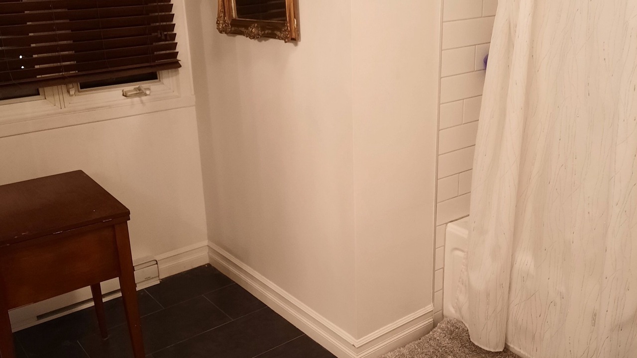 Photo of Bathroom in L'Ile-Bizard