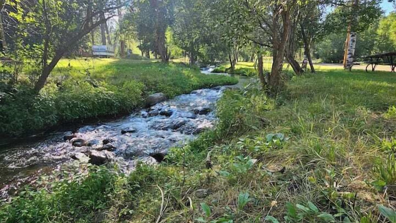 Photo of Others in Saddlestring