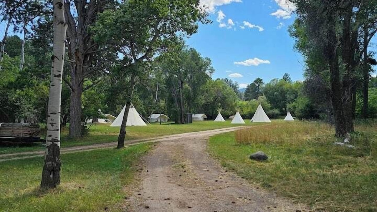 Photo of Others in Saddlestring