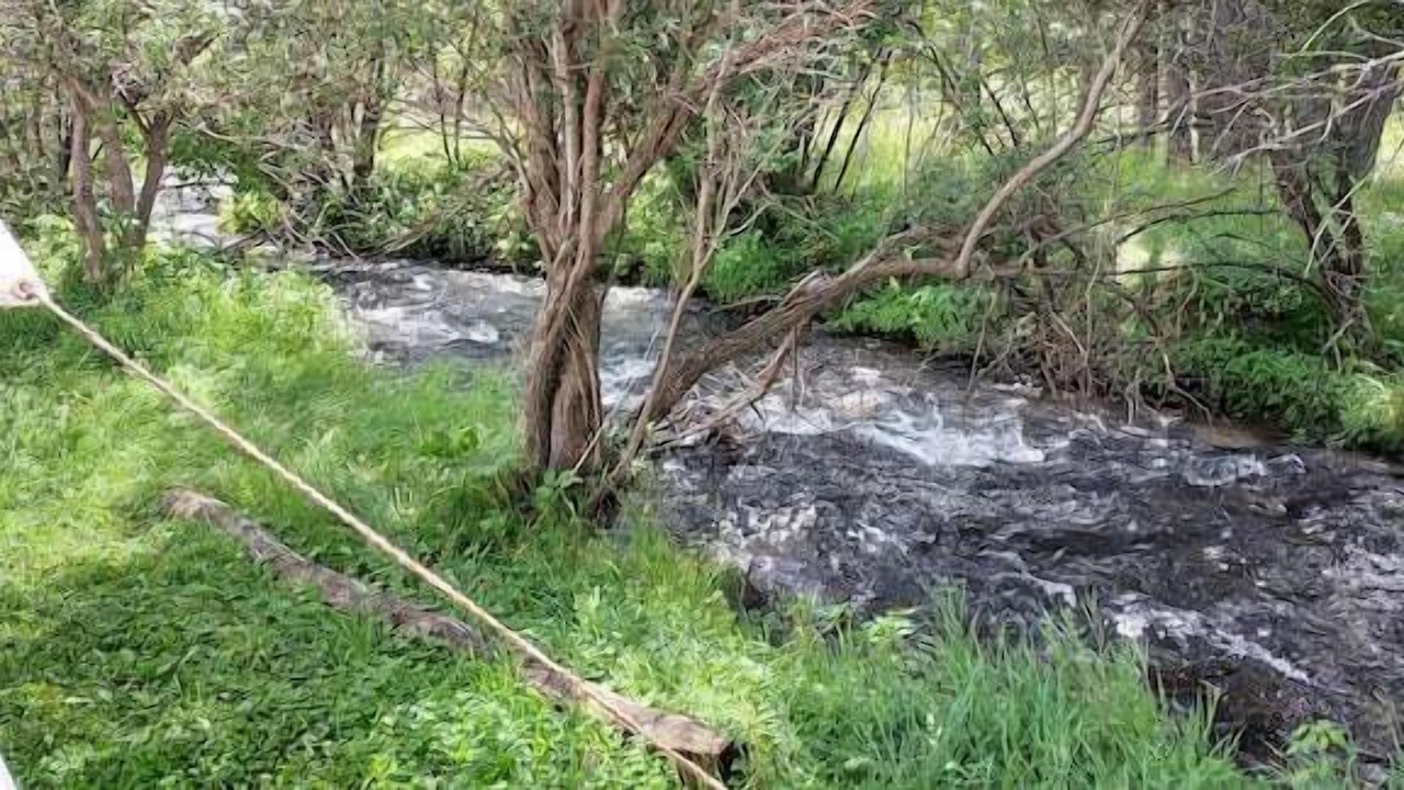 Photo of Others in Saddlestring