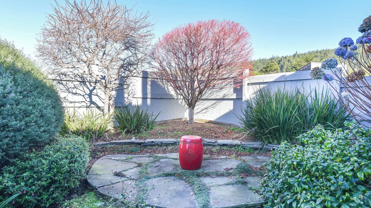 Photo of Outdoor in Sea Ranch