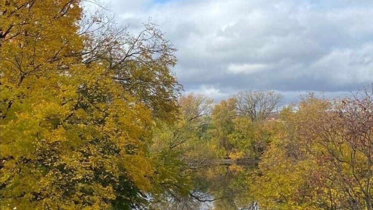 Photo of Outdoor in Newtonville