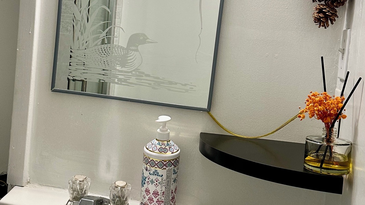 Photo of Bathroom in Mississauga Valleys