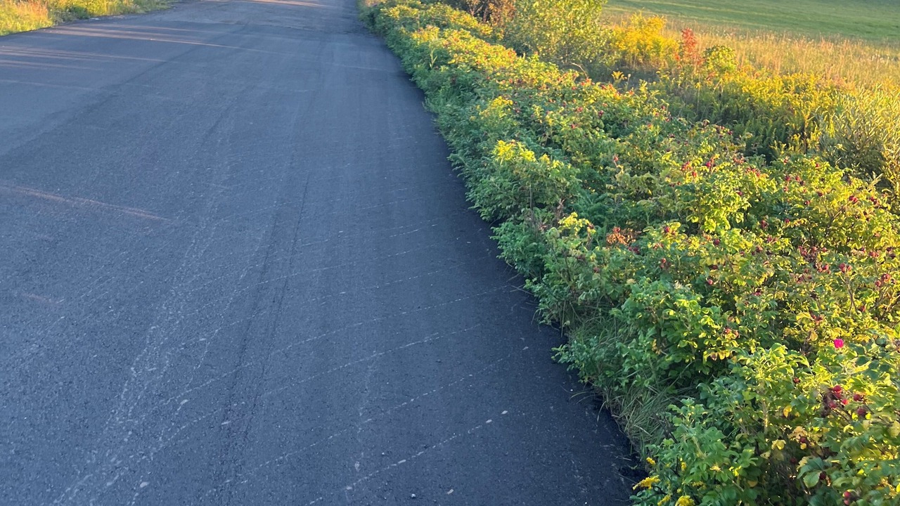 Photo of Outdoor in Prince County