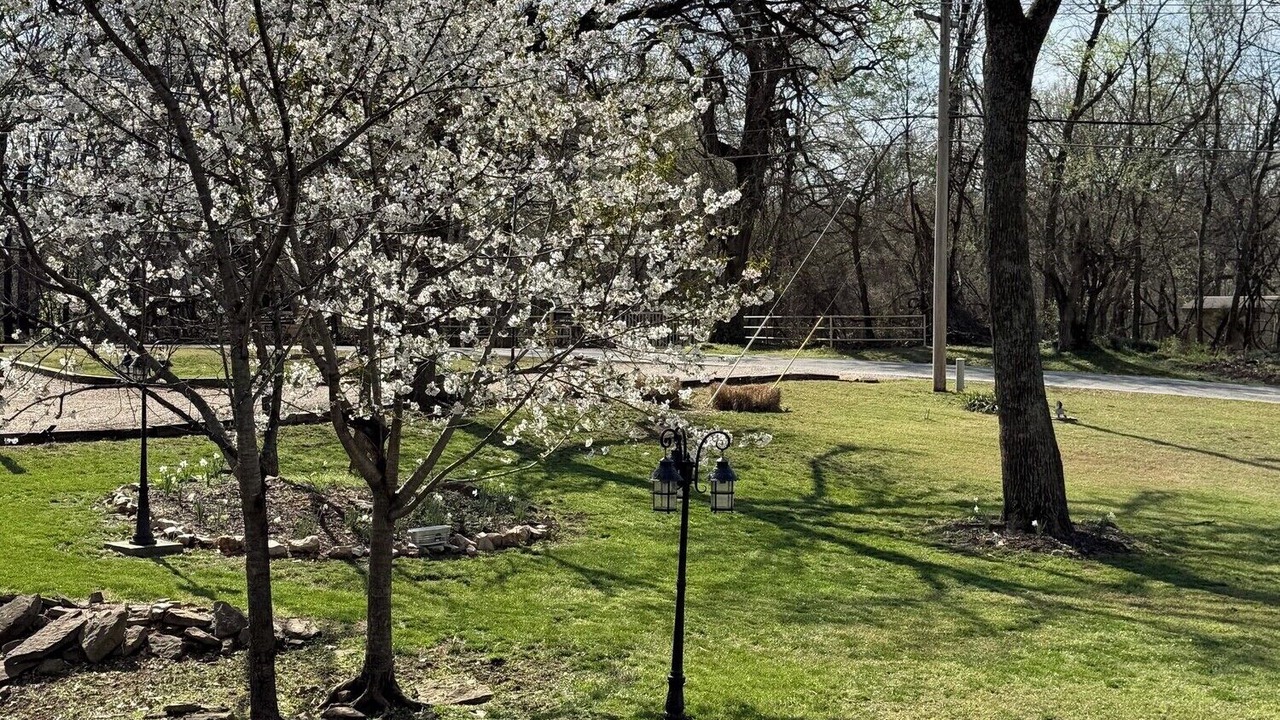 Photo of Others in Cleora