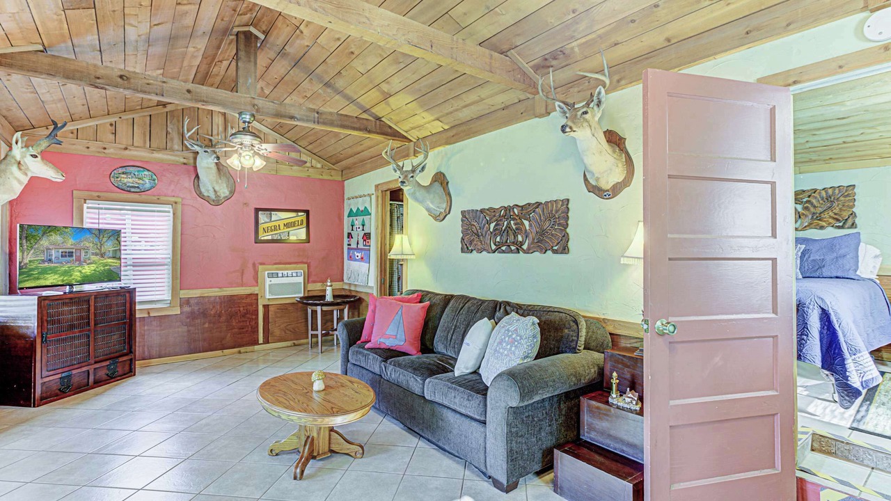 Photo of Bedroom in Kingsland