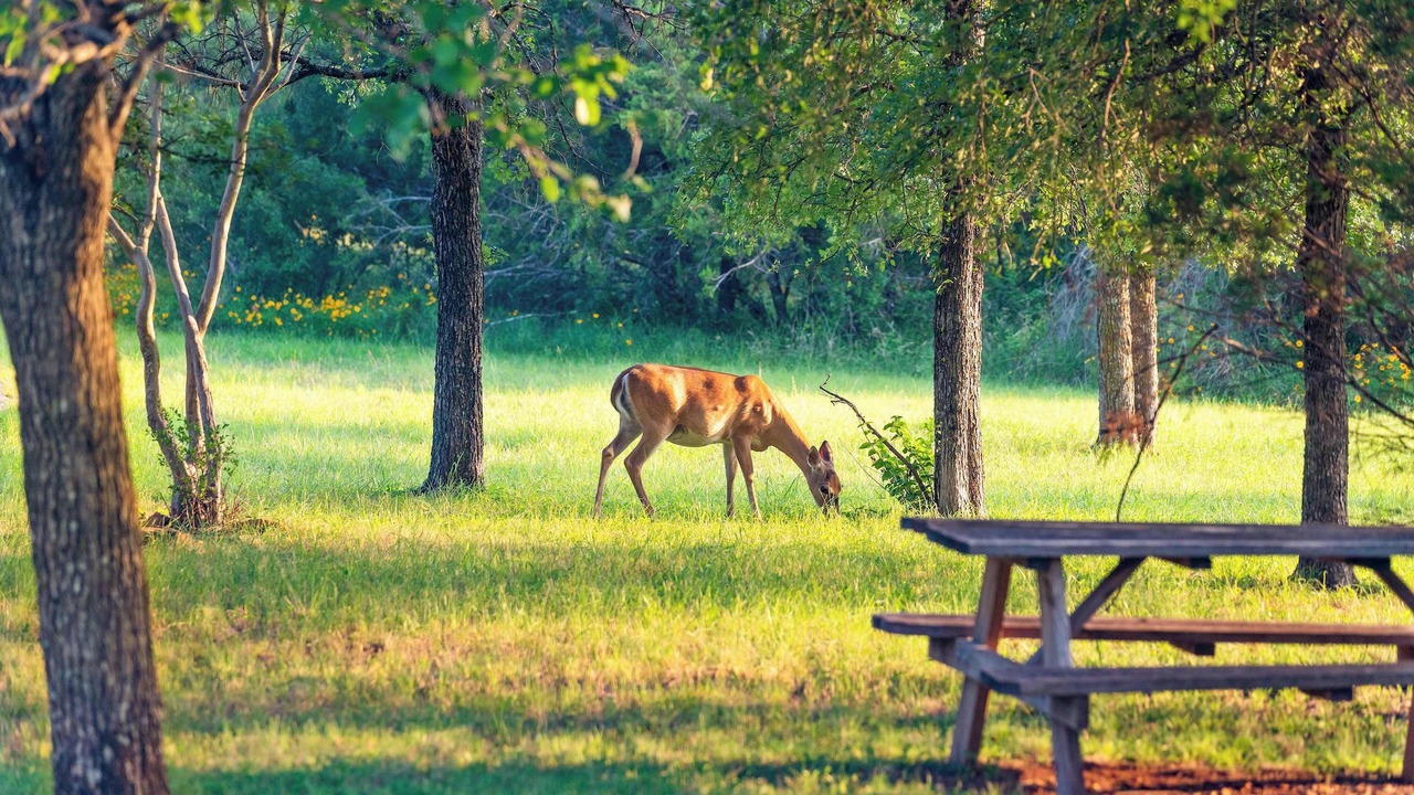 Photo of Others in Marble Falls