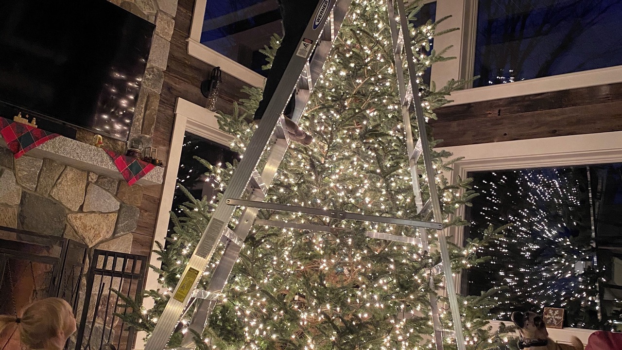 Photo of Others in Embden