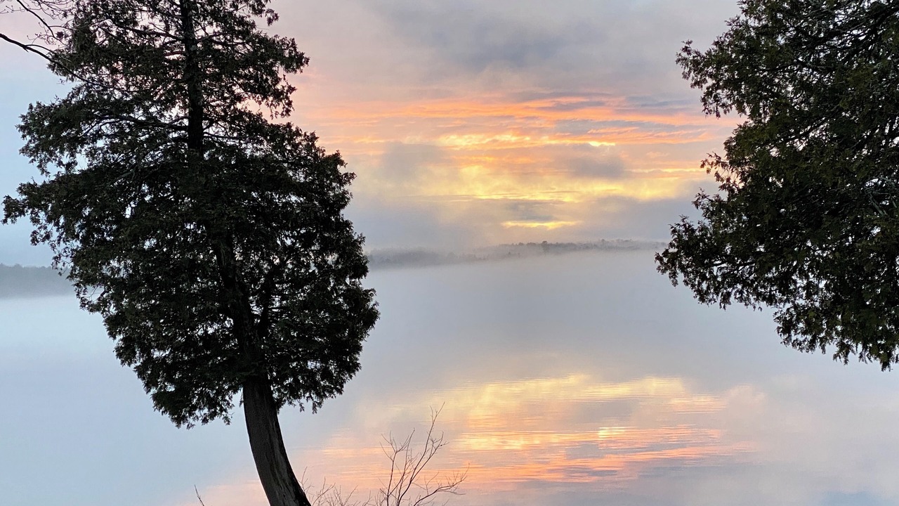 Photo of Others in Embden