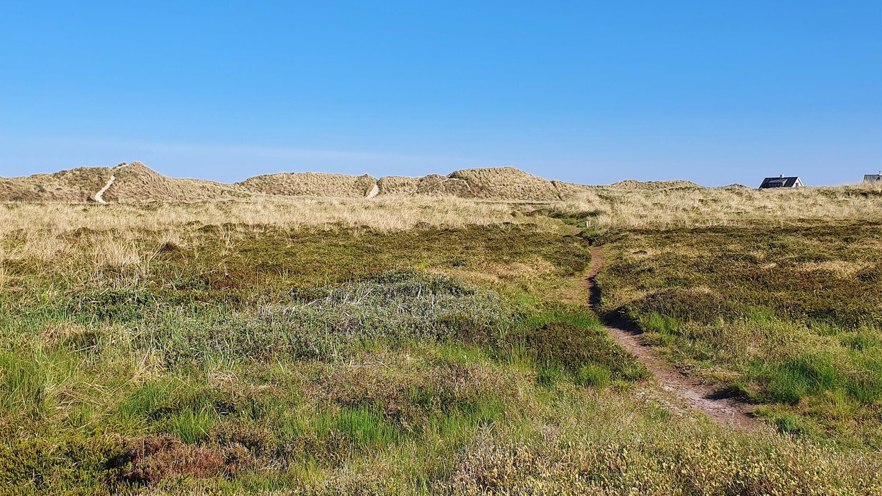 Photo of Others in Skagen