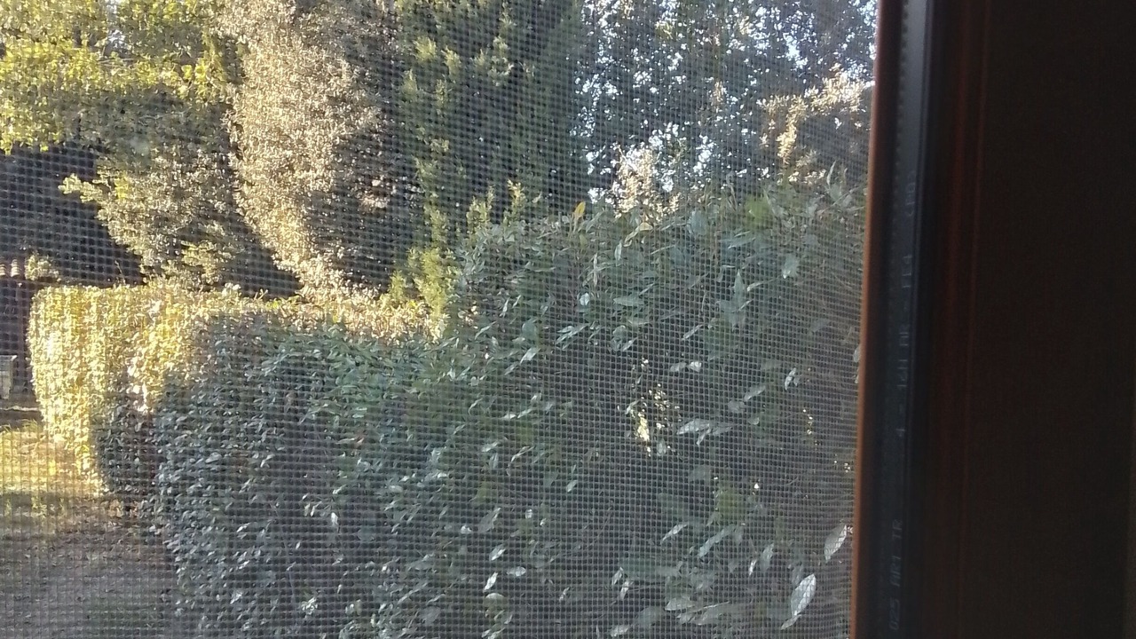 Photo of Others in Eyragues